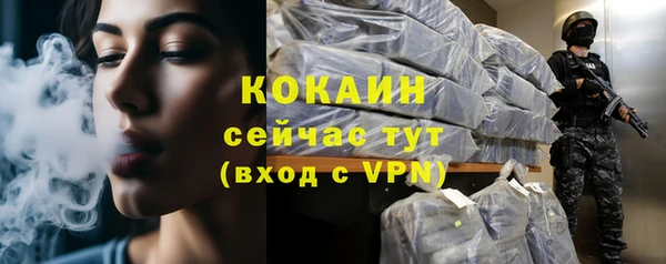 индика Балабаново