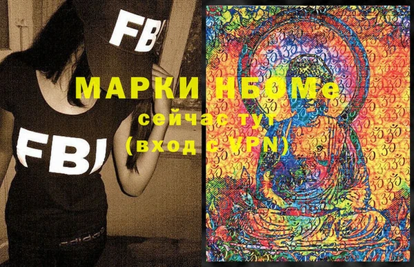 индика Балабаново