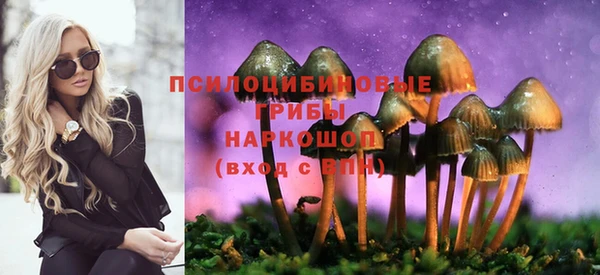 индика Балабаново