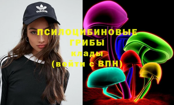 амф Покачи