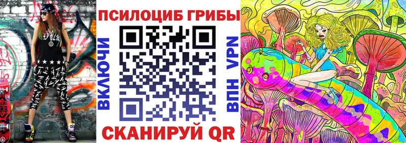купить Навашино Псилоцибиновые грибы Psilocybe